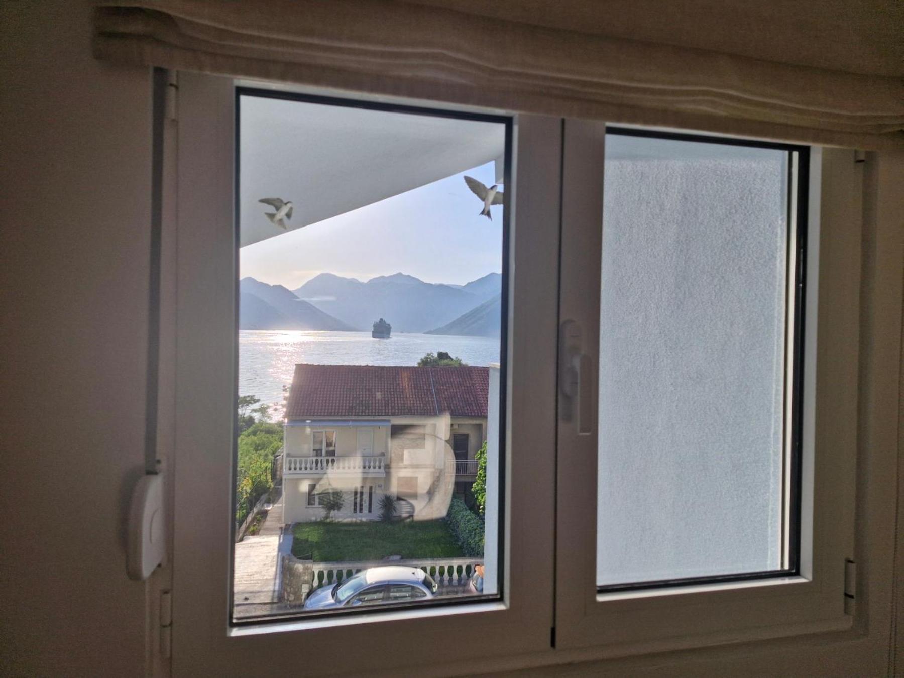 Luxury Apartment Vasilisa Kotor Eksteriør bilde